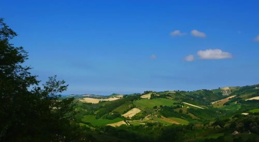 B&B Il Panorama