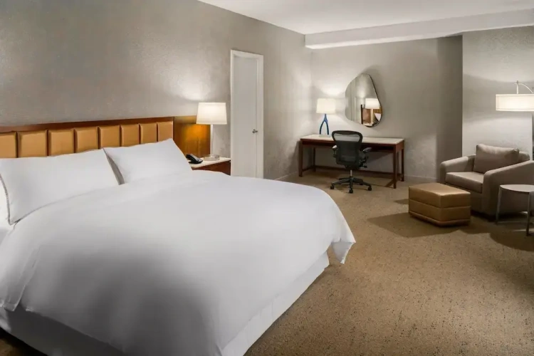 1 Bedroom Suite