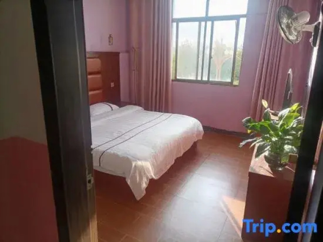 Venus Apartment