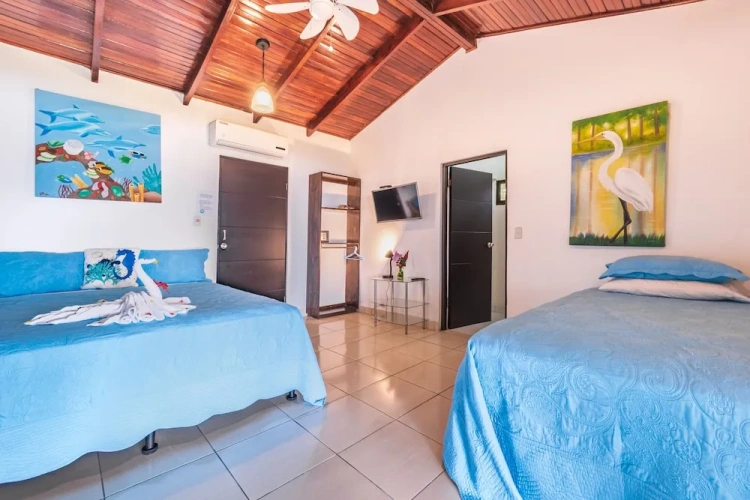 1 Bedroom Superior room with sea view