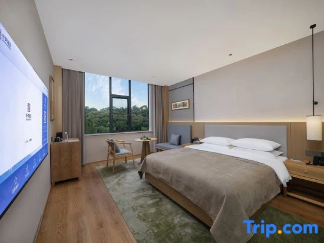 Standard Double room with mountain view
