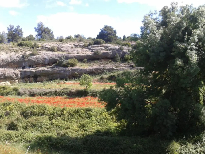 Abaric Casa Rural