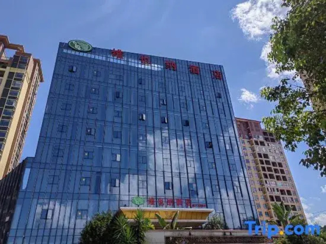 Vienna Hotel (Wuping Wanxing City Store)
