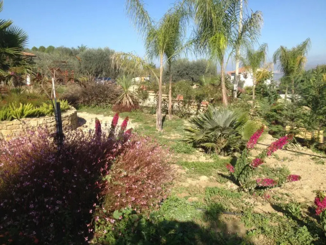 B&B Villa Russo
