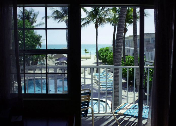 Coquina On The Beach