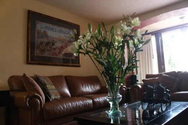 Westall Tours B&B