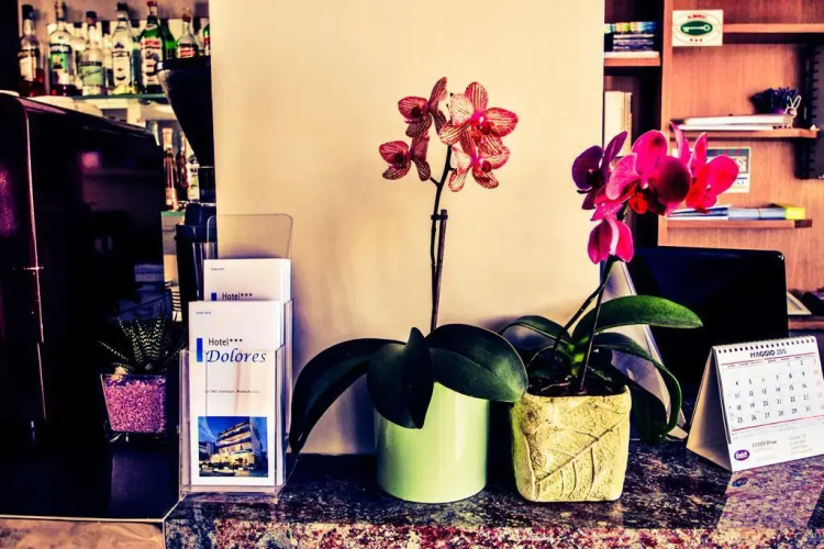 Hotel Dolores