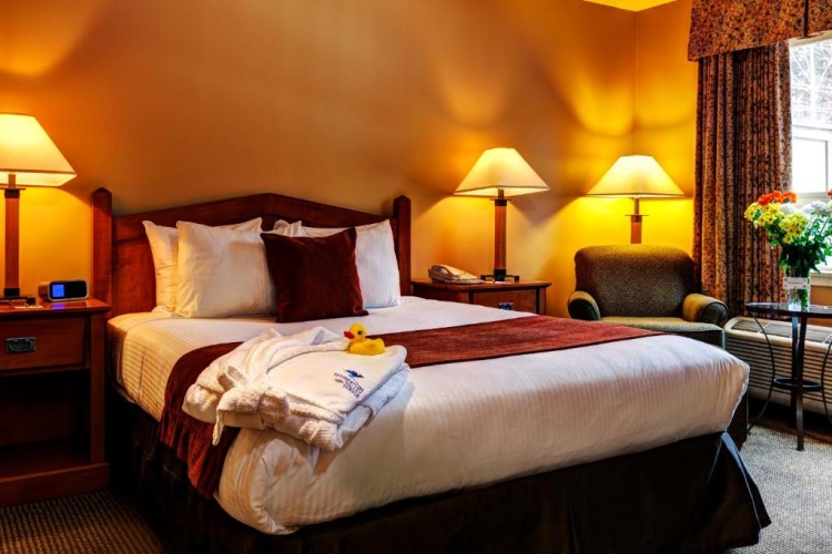 1 Bedroom Suite