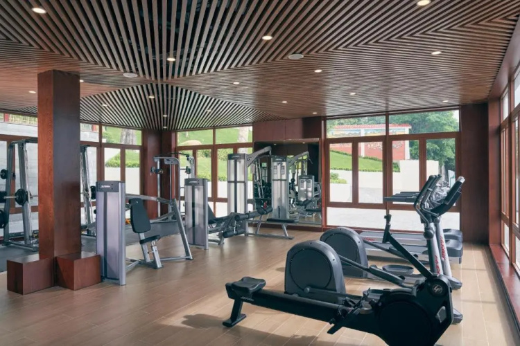 Senna Wellness Retreat