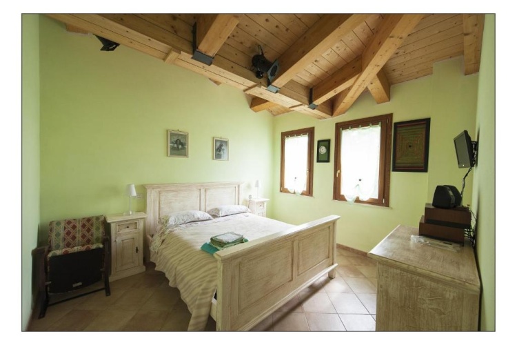 Standard Double room with garden view