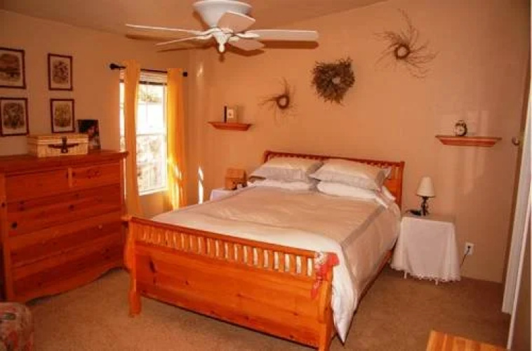 Kamp Kiwis Cabins