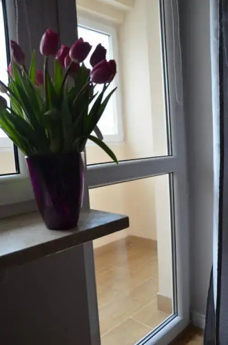 Apartament Orchidea