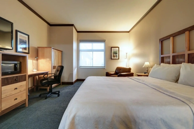 Standard room with view