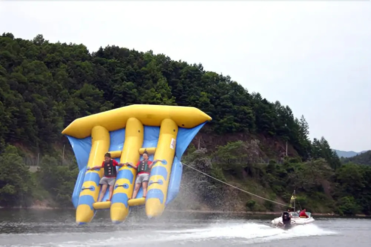 Gapyeong Iris Pension