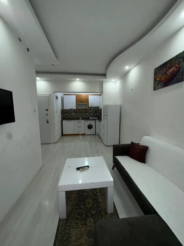 Economy Studio