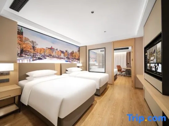 Executive Triple Suite