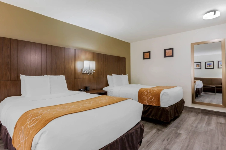 Quadruple Suite