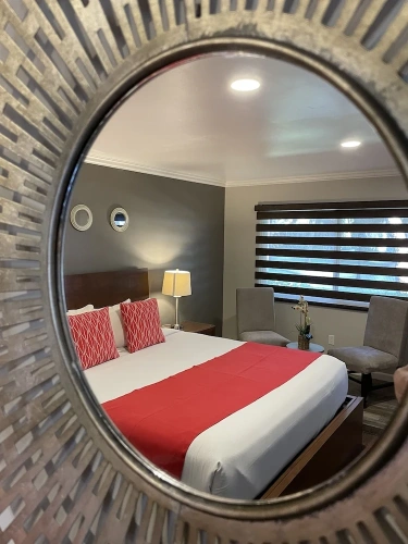Standard Double Suite with garden view