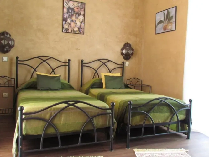 Standard Twin room with garden view