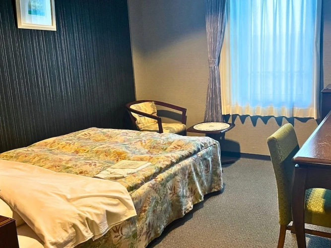 Standard Double room with city view