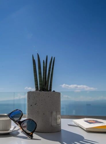 Superior Double room with balcony and with sea view