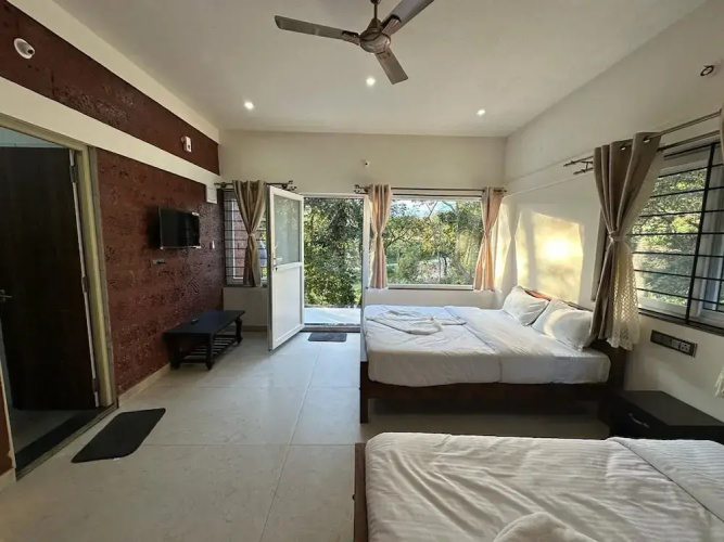 Coorg Jungle Mist