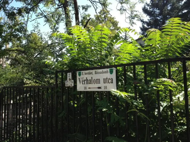 Platán apartman