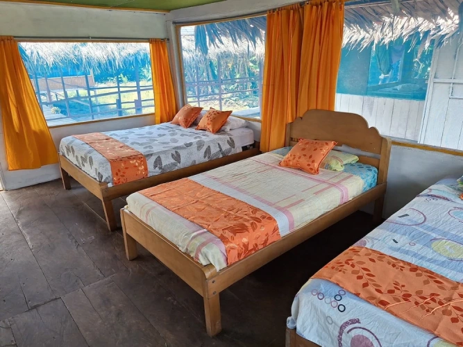 Standard Triple room with river view