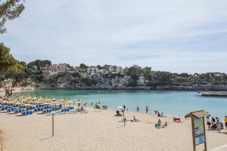 PLA DES Coll