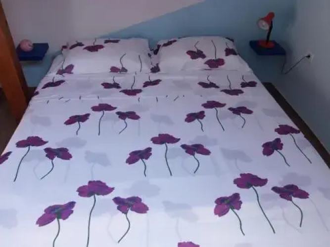 Apartment Cajt