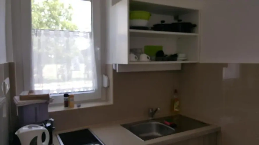 Basement Apartment