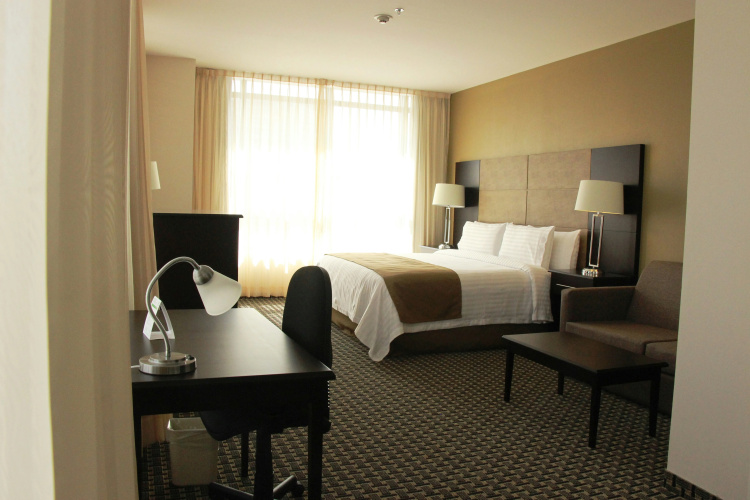 Holiday Inn Mexico Santa Fe photo 8