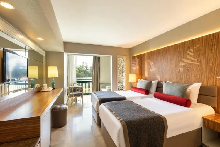 Standard with french balcony Twin room with land view