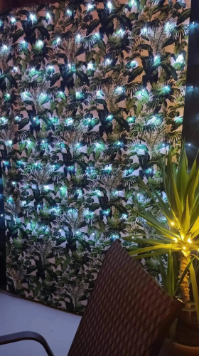 Secret Garden House