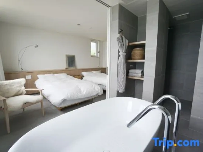Deluxe Twin room with lake view