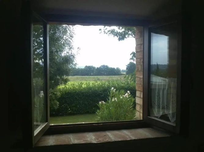 1 Bedroom Double Basement Apartment