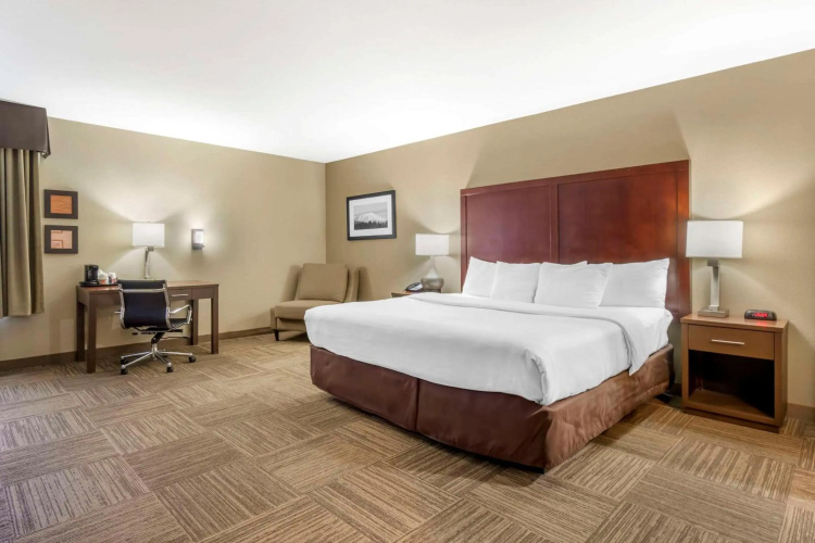 Comfort Inn & Suites Sea-Tac Airport photo 6