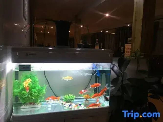 Xinyang Blue Moon Hotel