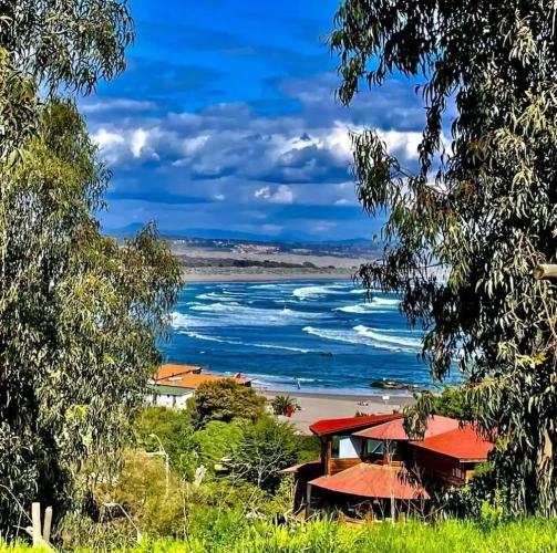 3 Bedrooms Deluxe Cottage with garden view