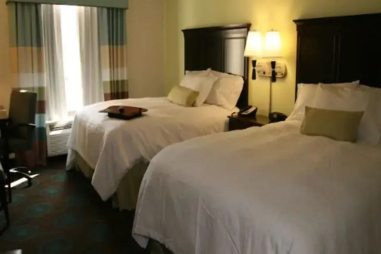 Hampton Inn & Suites Wilder