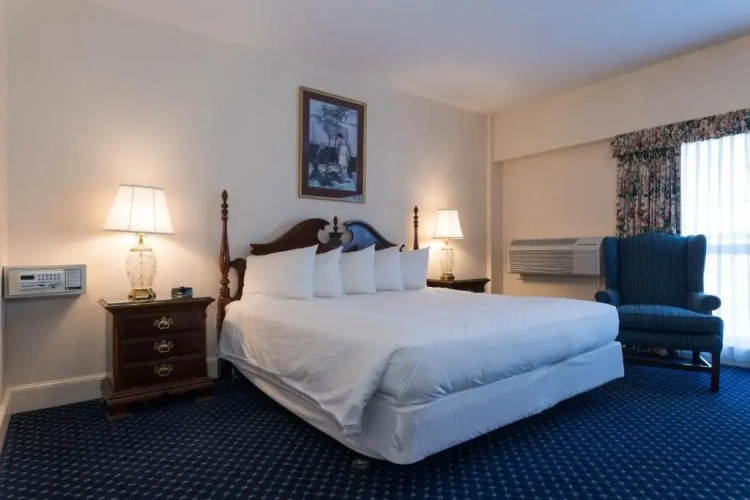 Standard Double room with balcony and with partial view