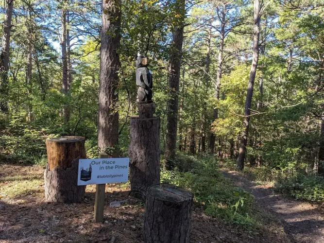 Loblolly Pines Adventure Camp