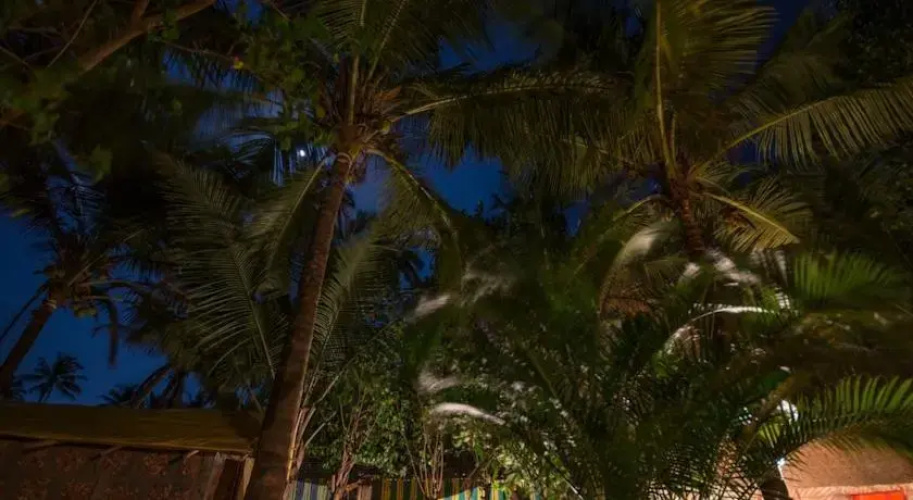 Dead End Resort