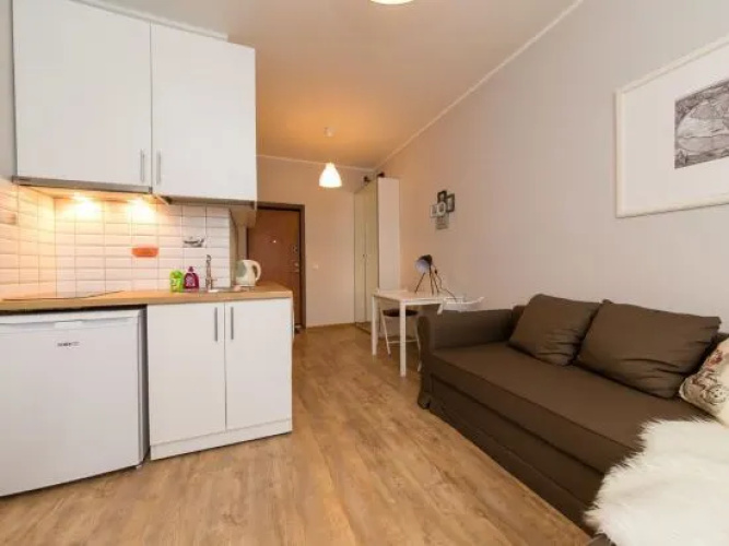 Vilnius Center Apartment