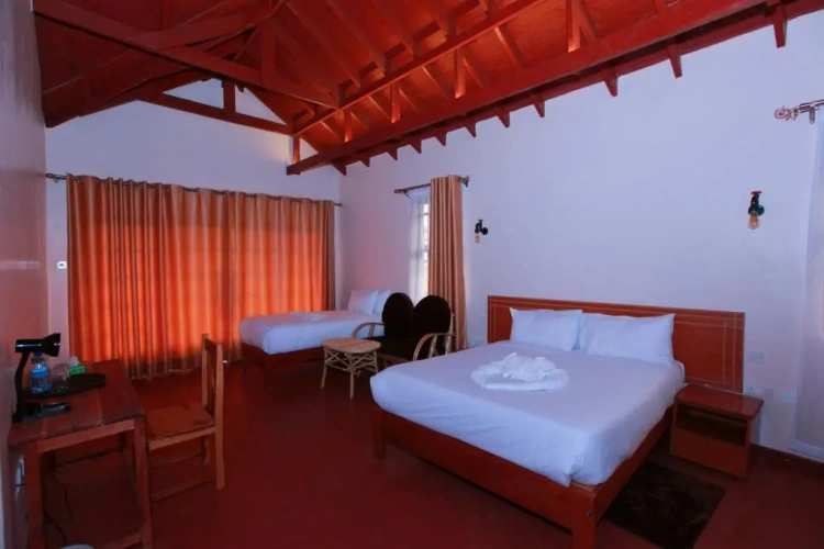 Standard Double room with garden view