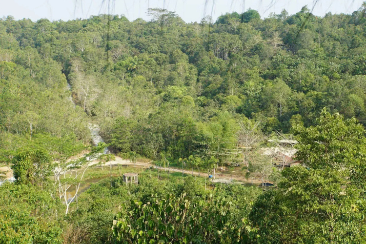 Samboja Lodge