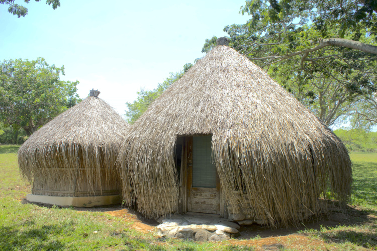 1 Bedroom Standard room