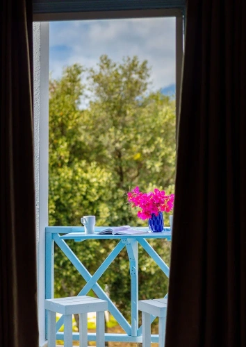 Standard Double room with garden view