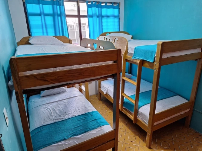 Bed in Dorm