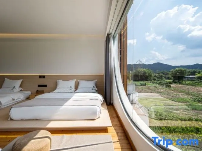 Standard room with view